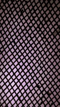 Black Net Pattern Background with Dreamy Gradient Colors イラスト素材