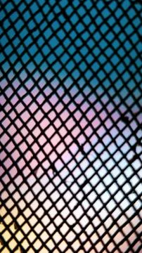 Black Net Pattern Background with Dreamy Gradient Colors 스톡 일러스트