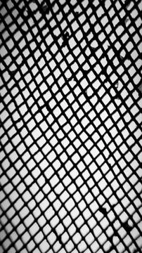 Black Net Pattern Background Stockillustratie