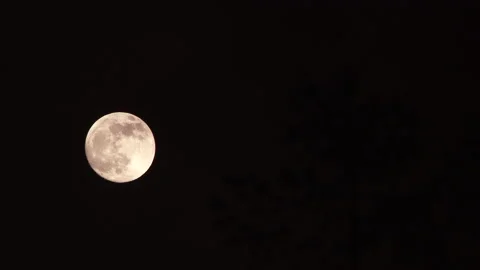 Black Night Sky And Full Moon Scenic Stock Footage 146241865