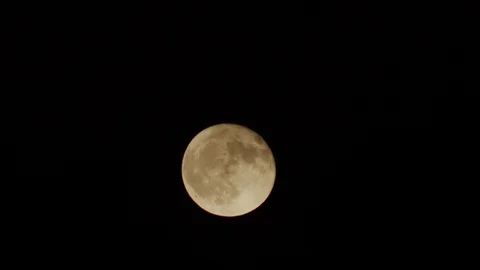 Black night with yellow moon Stock Footage 116745509