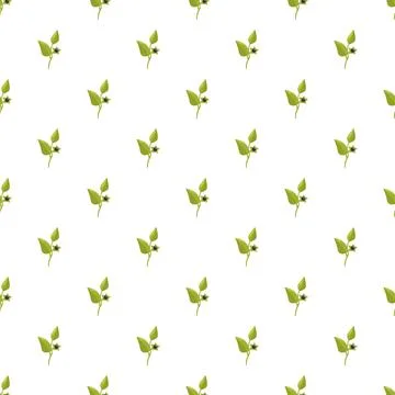 Black nightshade plant seamless pattern for botanical design 스톡 일러스트
