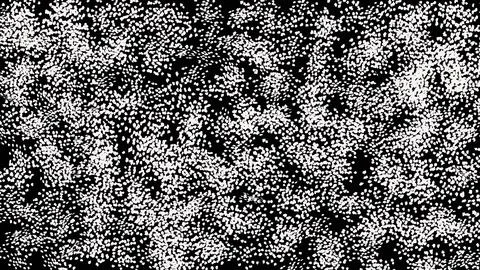 Black noise texture. Static interference grunge vector background. Stock Illustration