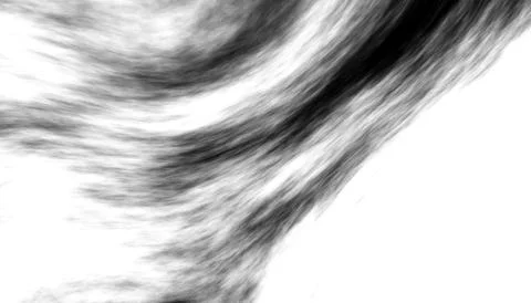 Black noise transparent gradient background. Dust effect with Transparent png Stock Photos