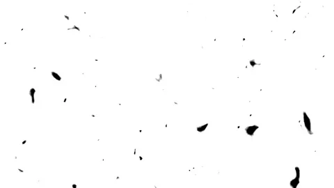 Black Noise On White Background. Stock Footage 107281424