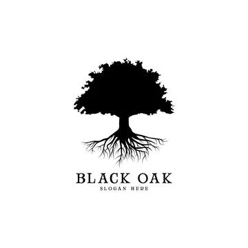 Black oak tree logo and roots design illustration Stock Illustration