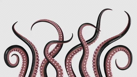 Black octopus tentacles isolated on transparent background. Underwater monster Stock Footage 276496872