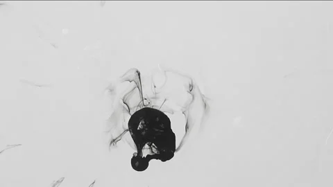 Black oily liquid on white background, falling drop spreads to sides leavin.. Stock Footage 255152102