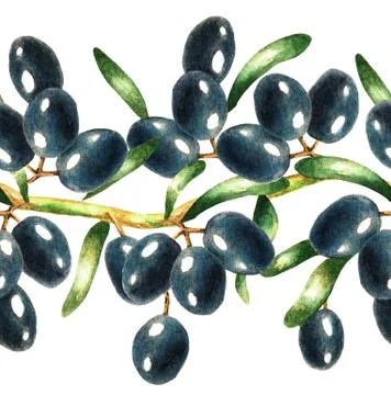 Black olive branch, seamless pattern, watercolor Stock Illustration