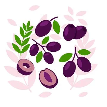 Black Olive elements abstract vector design background Stock Illustration