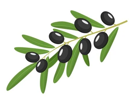 Black Olives Branch Stock-Illustration