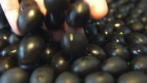 Black olives. Vidéo 102049679