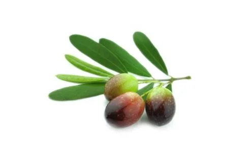 Black Olives Stock Photos