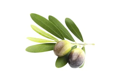 Black Olives Foto stock