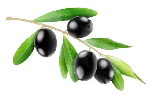 Black olives Stock Photos