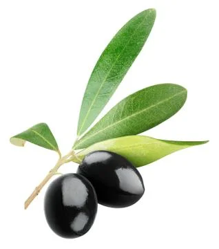 Black olives Stock Photos