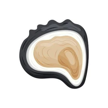 Black open oyster shell. Vector illustration on white background. Stock Illustration