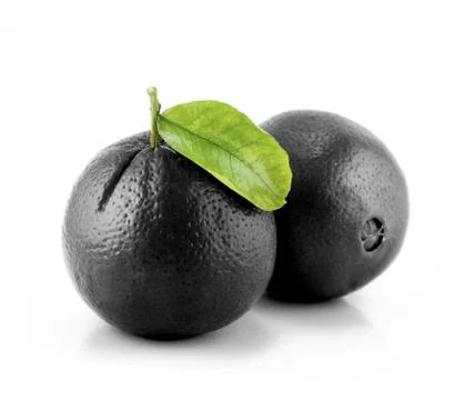 Black Orange! Stock Illustration