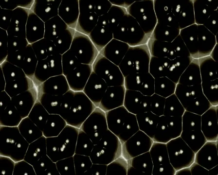 Black Organic Stock Footage 103853