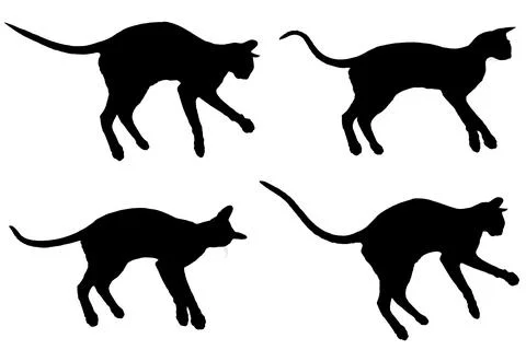 Black oriental cat set collection Stock Illustration