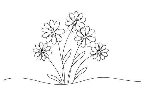 Black outline drawing of five daisy flowers on white background Stock-Illustration