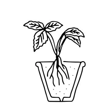 Black outline hand drawing vector illustration of a small strawberry plant wi Stock Illustration