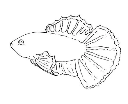 A black outline Is an isolated element on a white background. Coloring book for Stock Illustration