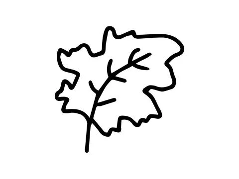 Black outline of a leaf isolated on a white background. Concept of nature Stock Illustration