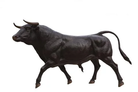 Black ox on white background Stock Photos