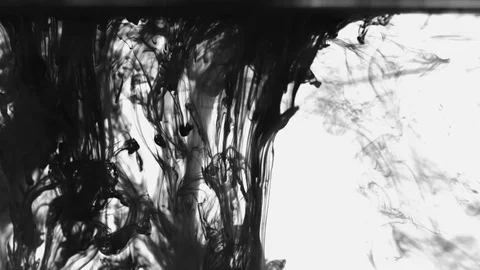 Black paint drops in the water Vídeo Stock 71008131