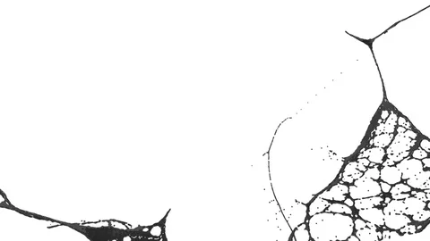 Black paint splash in air filmed in slow motion with alpha channel use for alpha Stock Footage