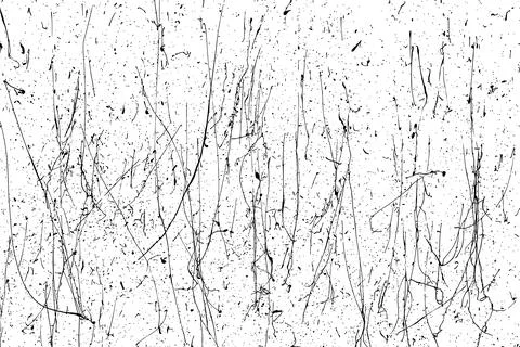 Black paint splatter 스톡 일러스트