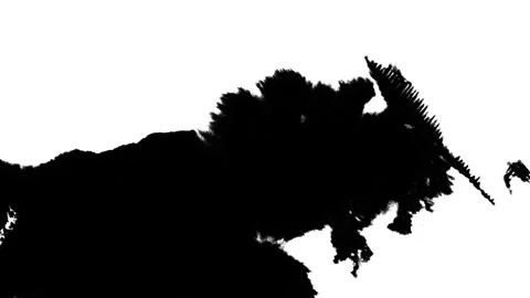 Black Paint Spreading Naturally on White Surface Stock Footage 326430976