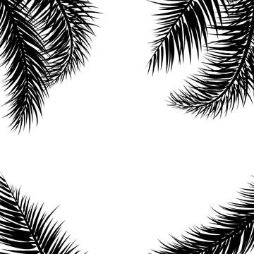 Black Palm Leaf Vector Background. Tropical drawn text background. Stock Illustration