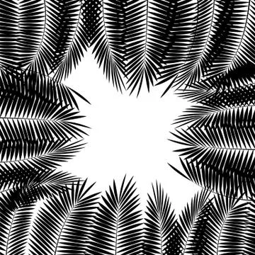 Black Palm Leaf on White Background. Vector Illustration Stockillustratie