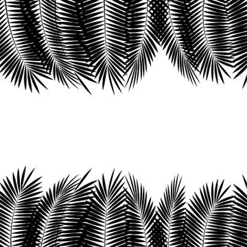Black Palm Leaf on White Background. Vector Illustration Stockillustratie