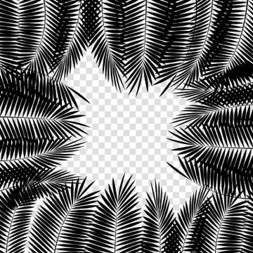 Black Palm Leaf on White Background. Vector Illustration Illustrazione stock