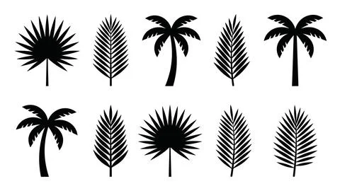 Black palm tree and tropical leaf silhouettes set for summer beach designs .. 스톡 일러스트