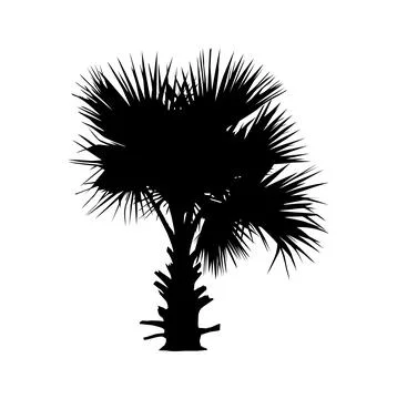 A black palm tree silhouette vector illustration, coconut tree  vector art, Stock Illustration