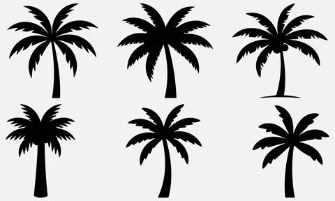 Black-palm-tree-silhouette-vector-collection 스톡 일러스트