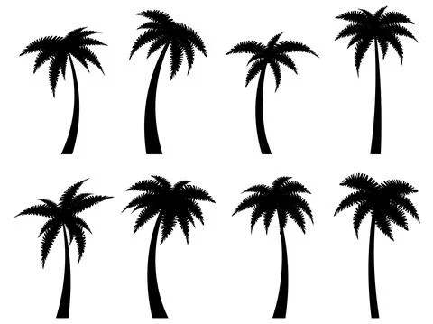 Black palm trees set isolated on white background. Palm silhouettes. Design o Stock Illustration