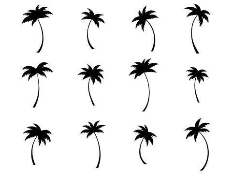 Black palm trees set isolated on white background. Palm silhouettes. Design.. Stock-Illustration