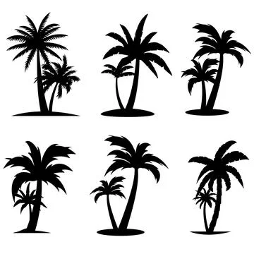 Black Palm Trees Set Isolated On White Background. Stock Illustration