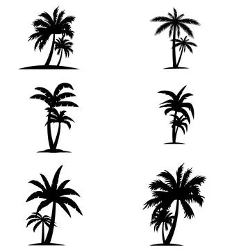 Black Palm Trees Set Isolated On White Background. Palm Silhouette Stock Illustration