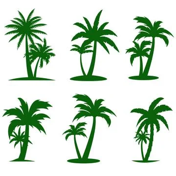 Black Palm Trees Set Isolated On White Background. Palm Silhouettes Stock Illustration