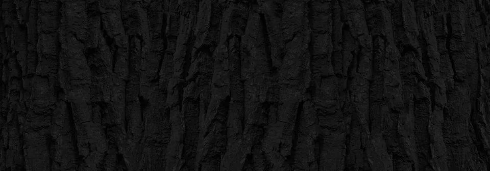 Black panoramic tree bark pattern for background Stock Photos