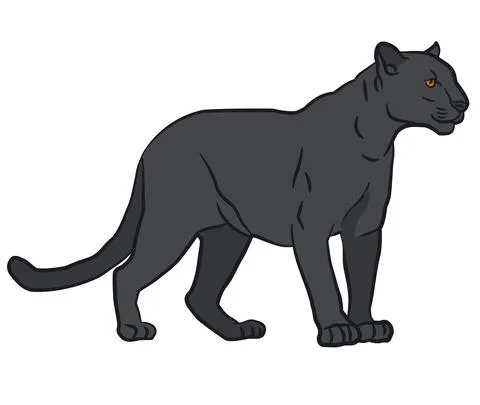 Black panther Stock Illustration