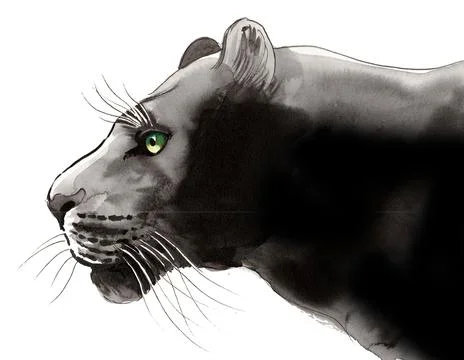 Black panther Illustrazione stock