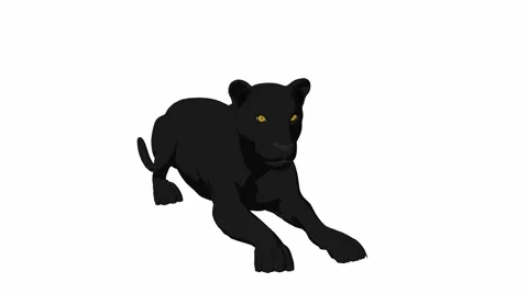 Black Panther Lying Down Stock Footage 941896