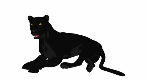 Black Panther Lying Down Stock Footage 941897